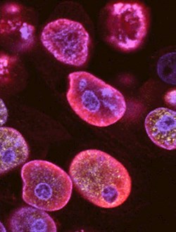 Life Science meets Tangity